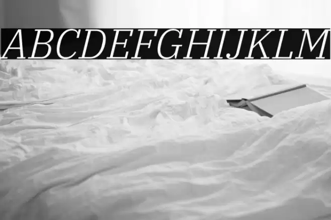 IBM Plex Serif Light Italic Font examples