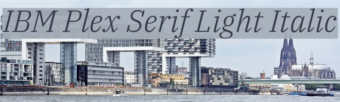 IBM Plex Serif Light Italic Font examples