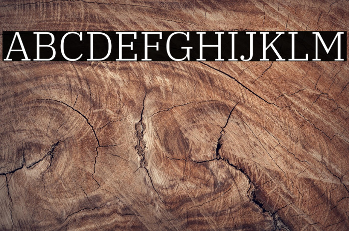 IBM Plex Serif Light Example 2