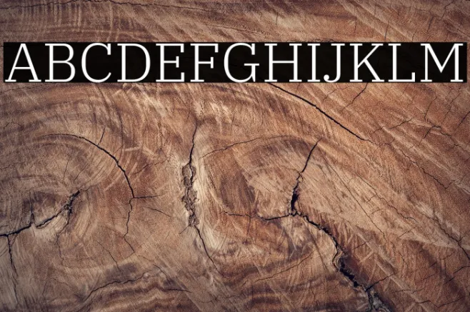 IBM Plex Serif Light Example 2