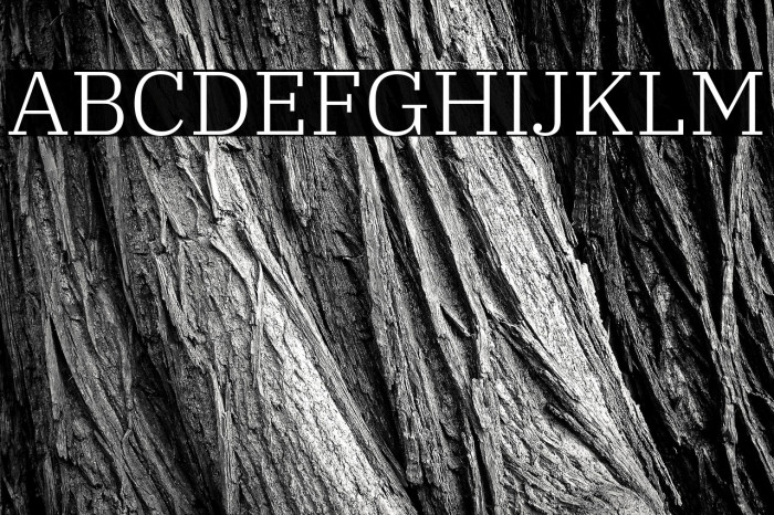 IBM Plex Serif Light Example 3