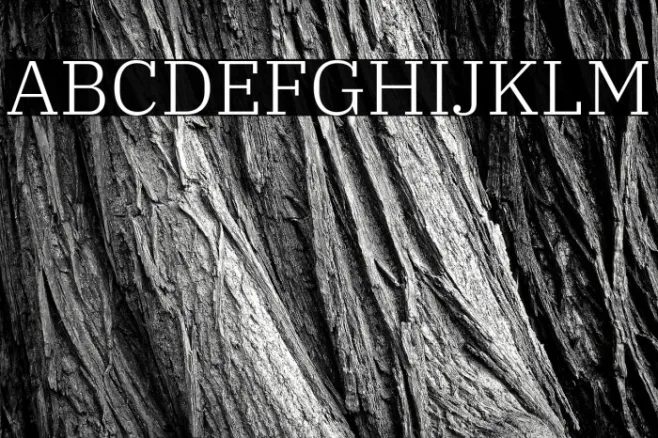 IBM Plex Serif Light Example 3