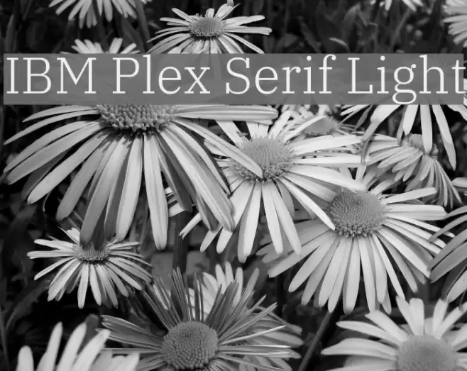 IBM Plex Serif Light Font examples