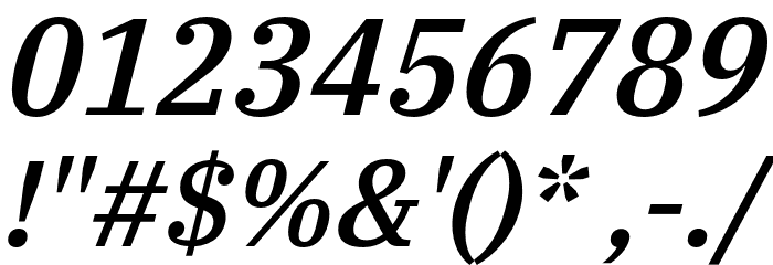 IBM Plex Serif Medium Italic Font OTHER CHARS