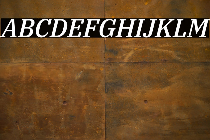 IBM Plex Serif Medium Italic Example 1