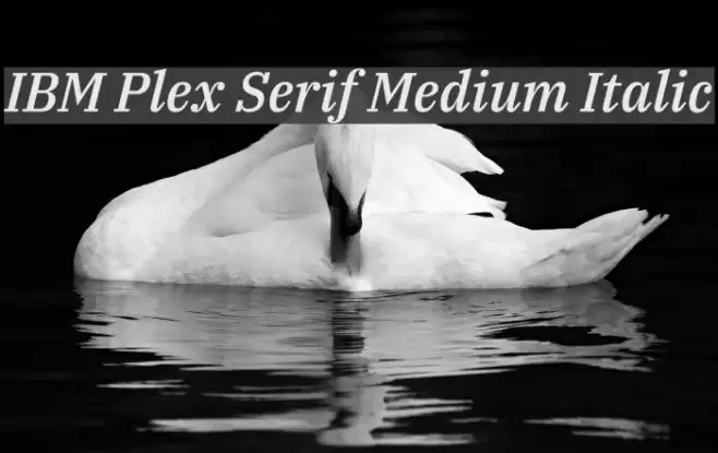IBM Plex Serif Medium Italic Font examples