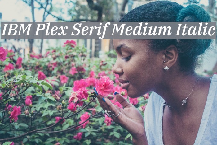 IBM Plex Serif Medium Italic Font examples
