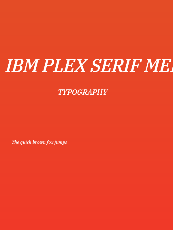 IBM Plex Serif Medium Italic Poster