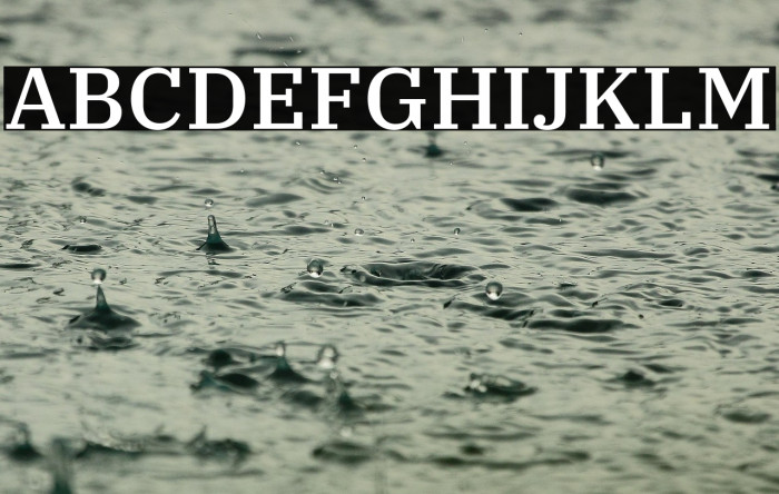 IBM Plex Serif Medium Example 1