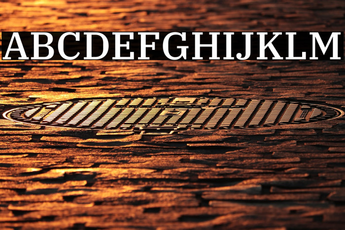 IBM Plex Serif Medium Example 2