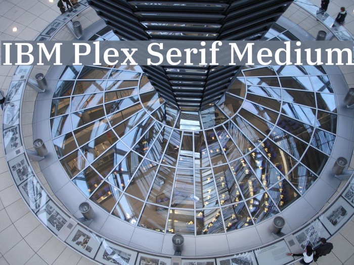 IBM Plex Serif Medium Font examples