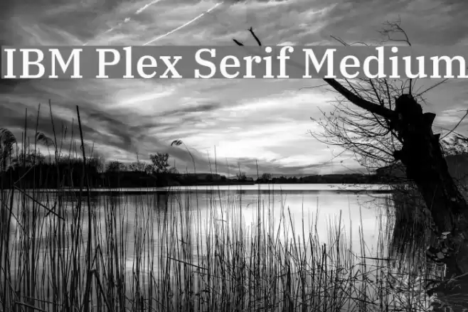 IBM Plex Serif Medium Font examples