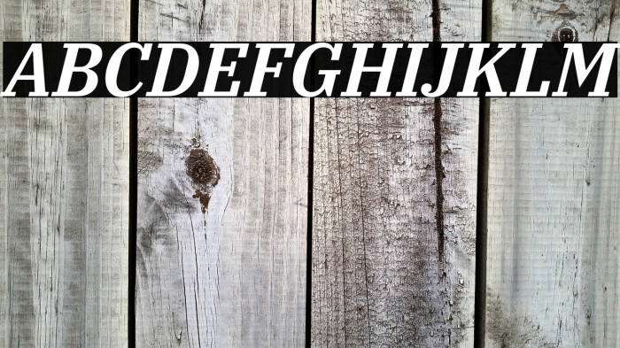 IBM Plex Serif SemiBold Italic Example 2