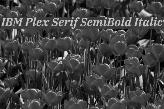 IBM Plex Serif SemiBold Italic Font examples