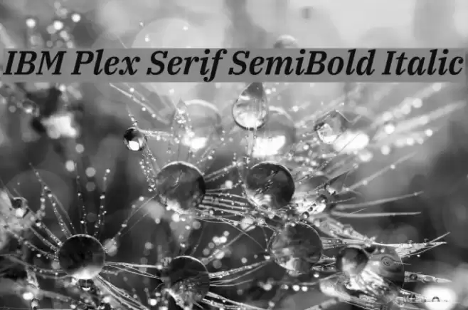 IBM Plex Serif SemiBold Italic Font examples
