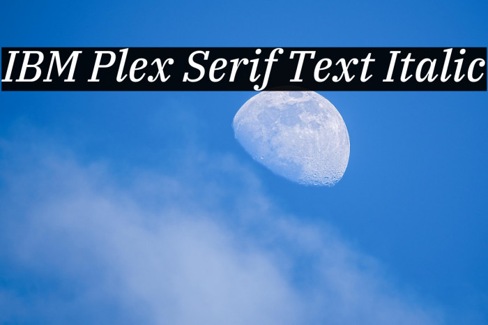 IBM Plex Serif Text Italic Example 1