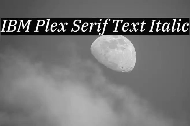 IBM Plex Serif Text Italic Font examples