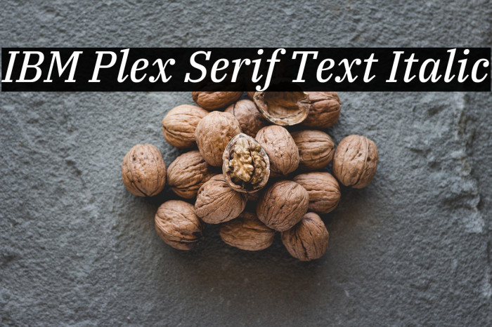 IBM Plex Serif Text Italic Example 2