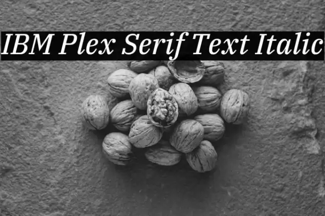 IBM Plex Serif Text Italic Font examples