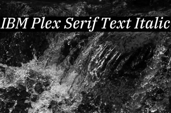 IBM Plex Serif Text Italic Font examples