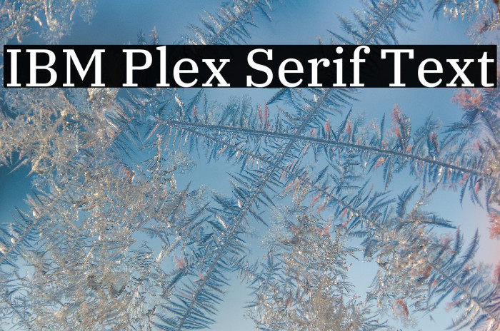 IBM Plex Serif Text Example 1