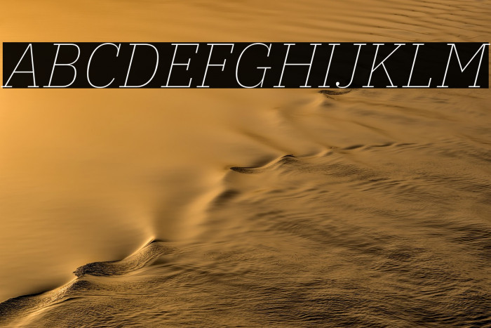 IBM Plex Serif Thin Italic Example 2