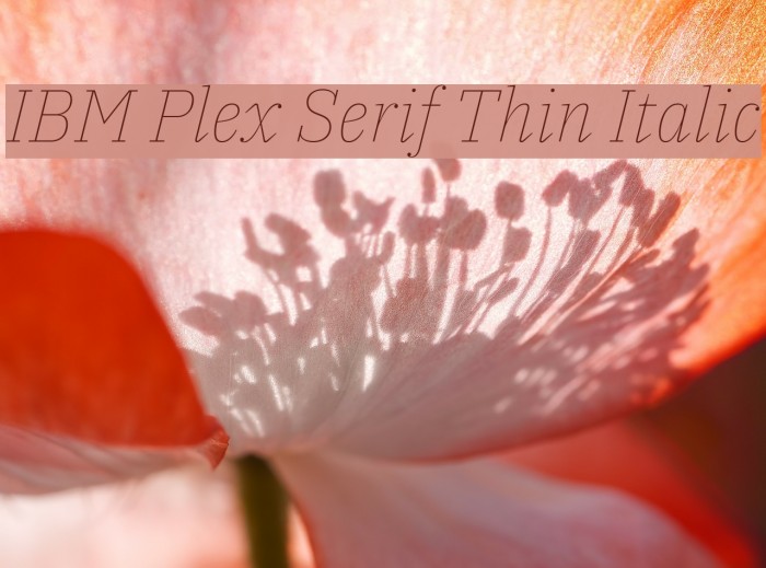 IBM Plex Serif Thin Italic Font examples