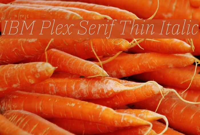 IBM Plex Serif Thin Italic Font examples