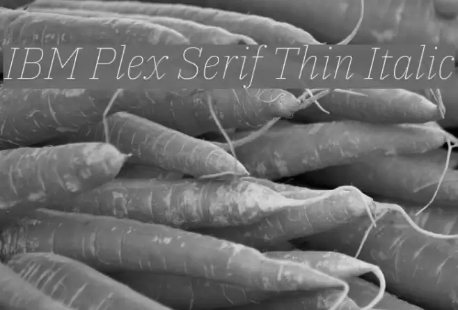 IBM Plex Serif Thin Italic  examples