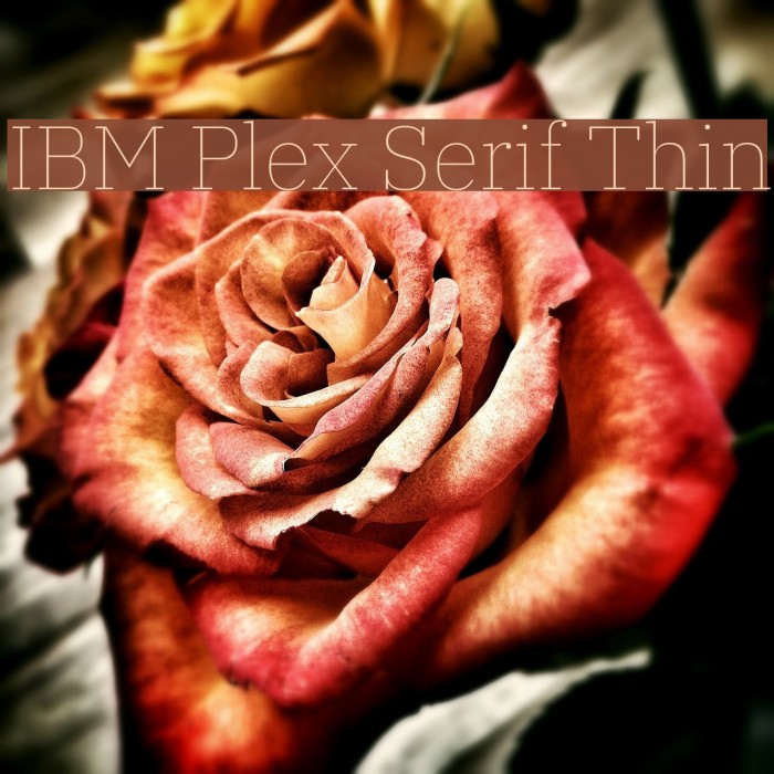 IBM Plex Serif Thin フォント examples