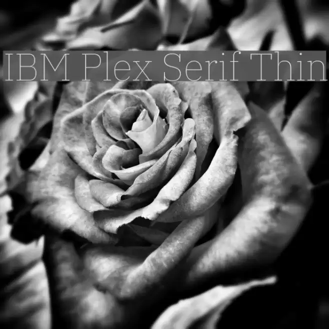 IBM Plex Serif Thin Font examples