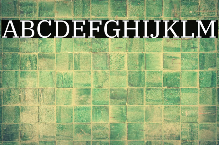 IBM Plex Serif Example 1