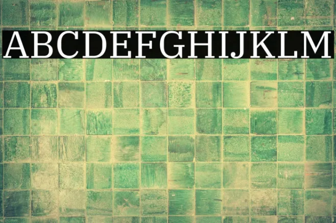 IBM Plex Serif Example 1