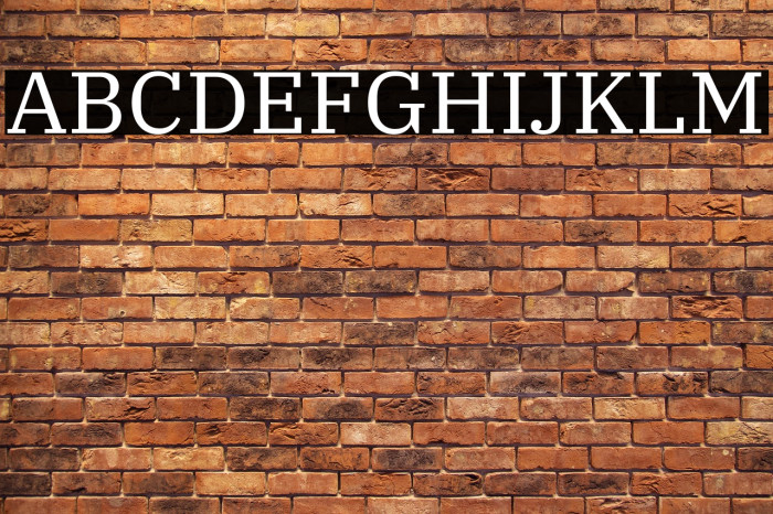 IBM Plex Serif Example 2