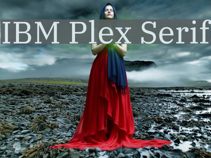 IBM Plex Serif Font examples