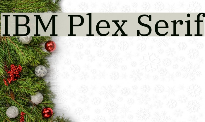 IBM Plex Serif Font examples