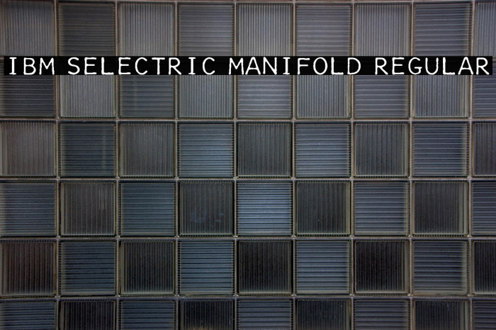 IBM Selectric Manifold Regular Example 1