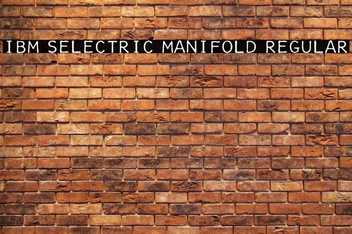 IBM Selectric Manifold Regular Example 2