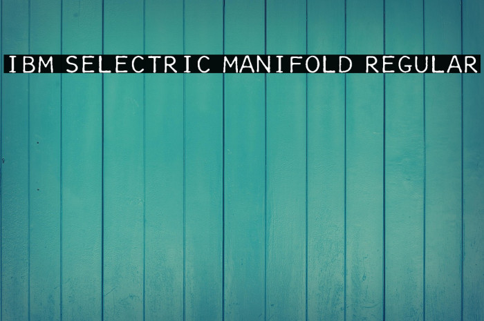 IBM Selectric Manifold Regular Example 3