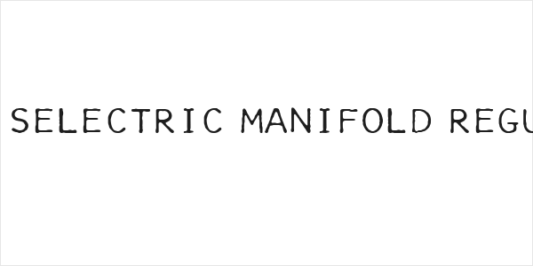 IBM Selectric Manifold Regular Logo