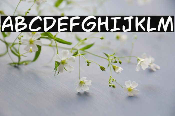 IBS Hagio Graphics Example 2