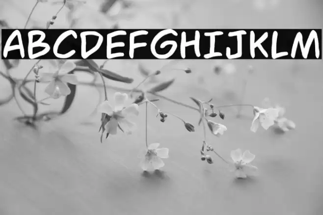 IBS Hagio Graphics Font examples