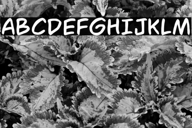 IBSHagioGraphics Font examples