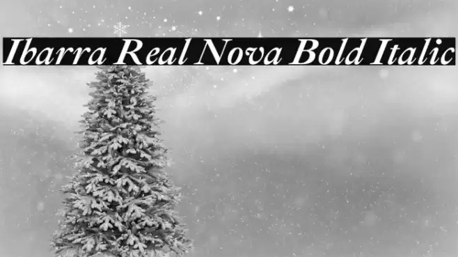 Ibarra Real Nova Bold Italic Font examples