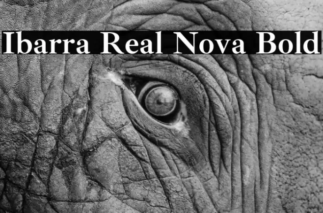 Ibarra Real Nova Bold Font examples