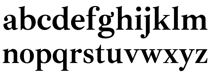 Ibarra Real Nova Bold Font LOWERCASE