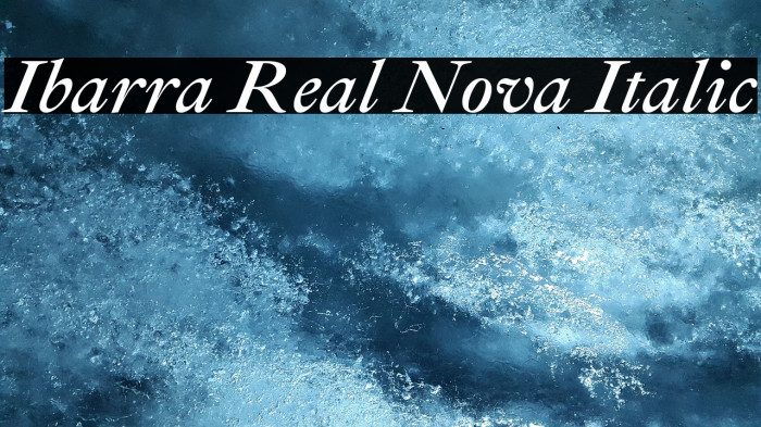 Ibarra Real Nova Italic Font examples