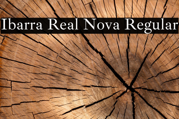 Ibarra Real Nova Regular Font examples