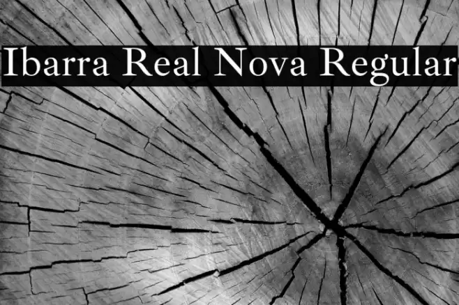 Ibarra Real Nova Regular Polices examples