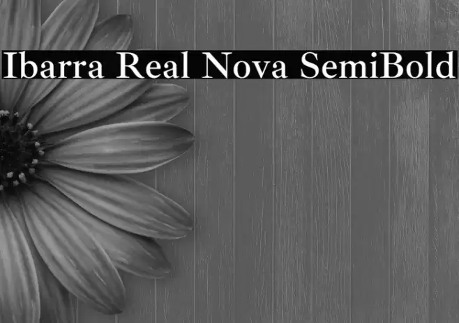 Ibarra Real Nova SemiBold Font examples